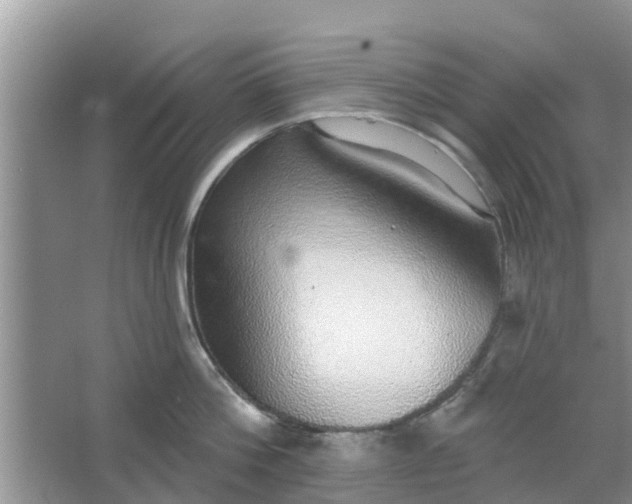 X0000066970812200604072029