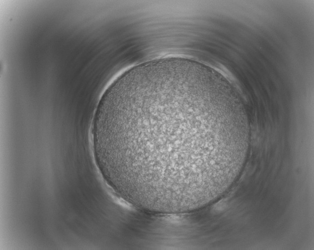 X0000066970814200604072029