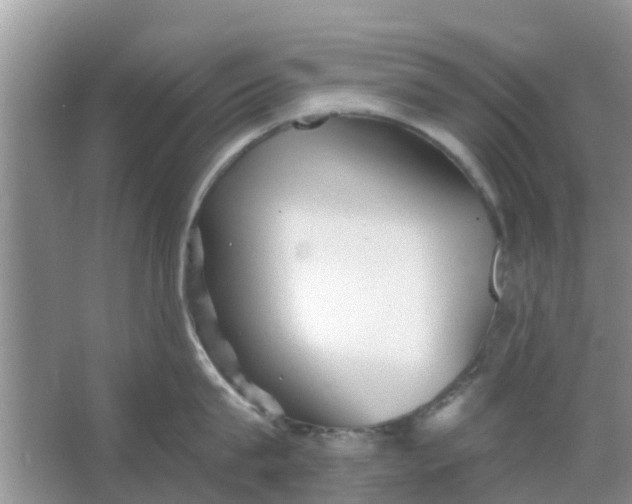 X0000066970815200604072029