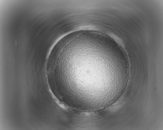 X0000066970816200604072029