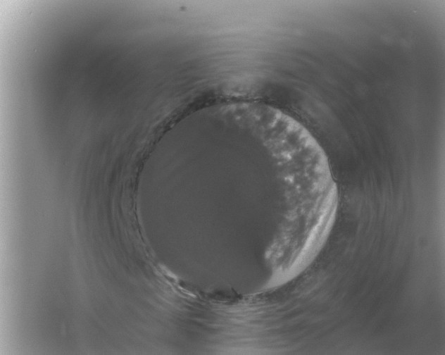 X0000066970817200604072028