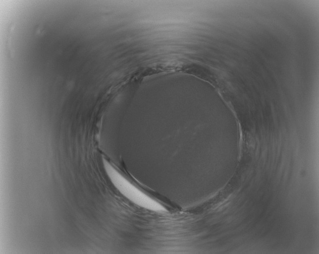 X0000066970818200604072028