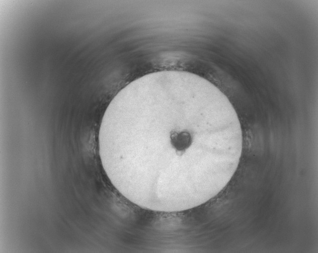 X0000066970820200604072028