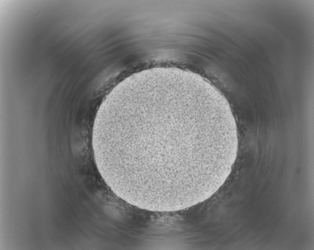 X0000066970824200604072028