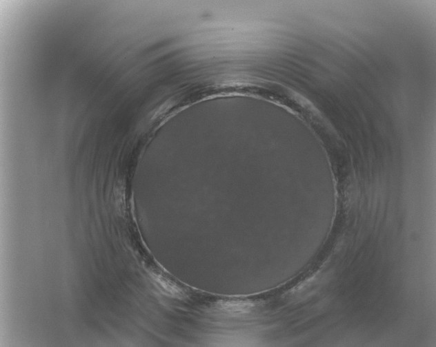 X0000066970825200604072028