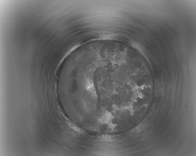 X0000066970827200604072028