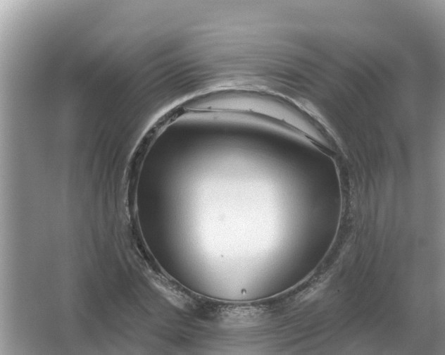 X0000066970830200604072028