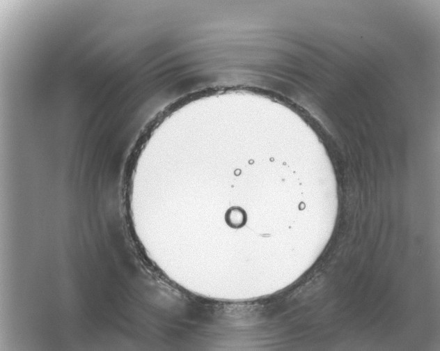 X0000066970832200604072028