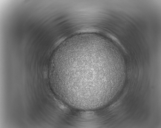 X0000066970833200604072028