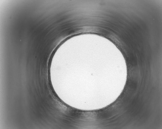 X0000066970836200604072028