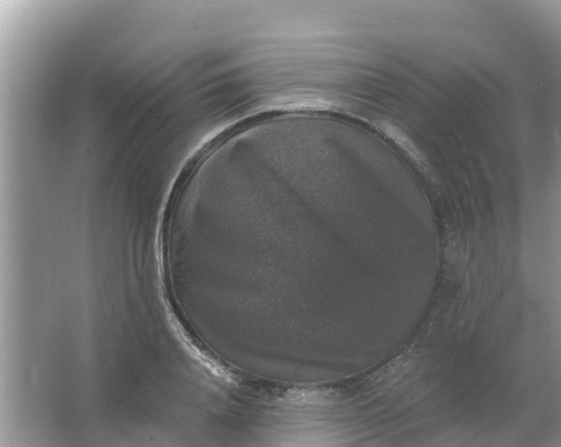 X0000066970840200604072028