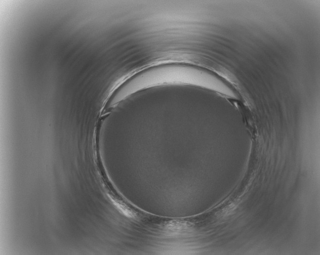 X0000066970842200604072028