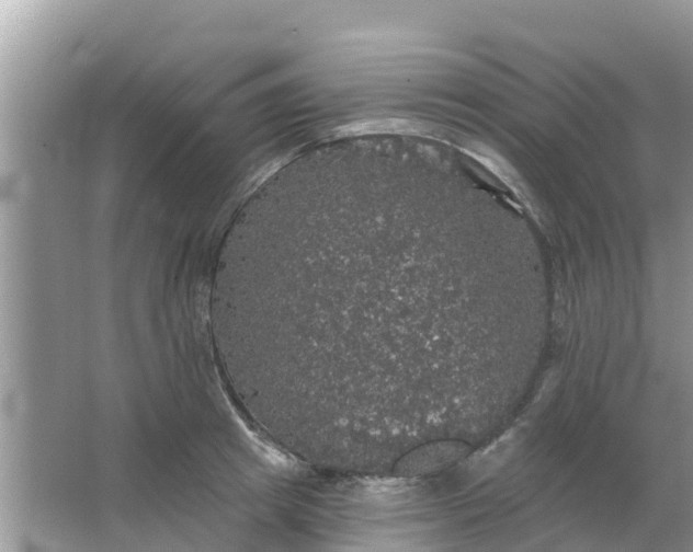 X0000066970849200604072028