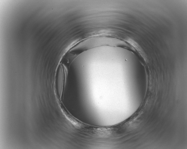 X0000066970850200604072028