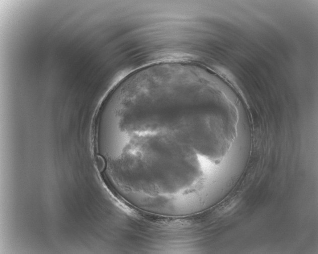 X0000066970851200604072028