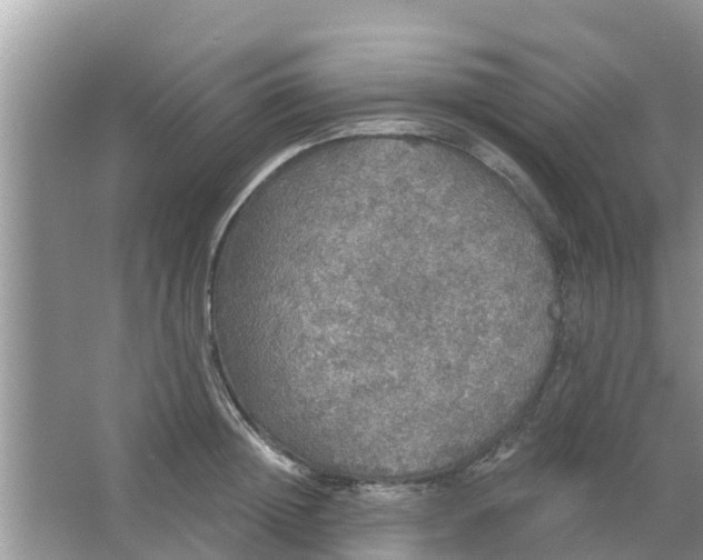 X0000066970852200604072028