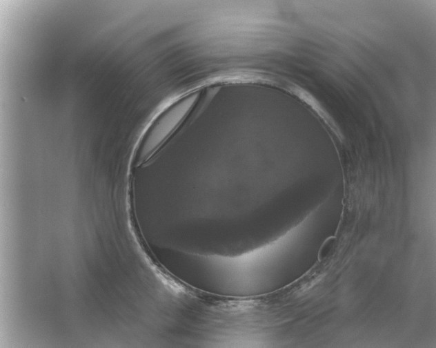 X0000066970853200604072028