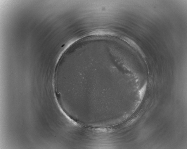 X0000066970855200604072028