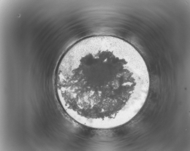 X0000066970856200604072028