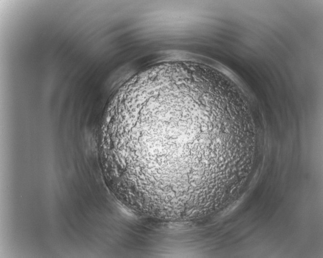 X0000066970857200604072028