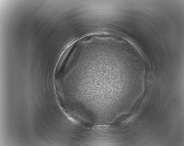 X0000066970858200604072028