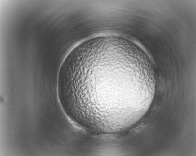 X0000066970861200604072028