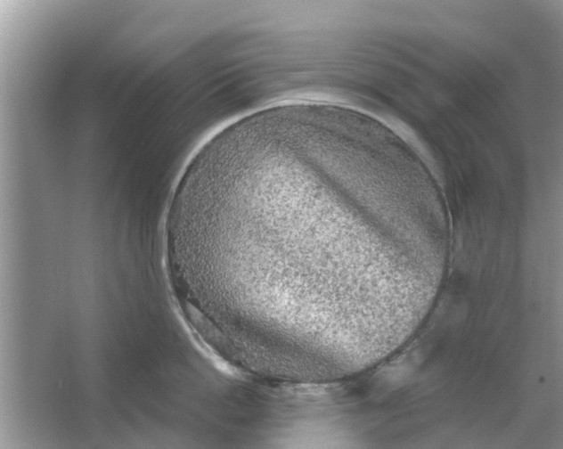 X0000066970862200604072028