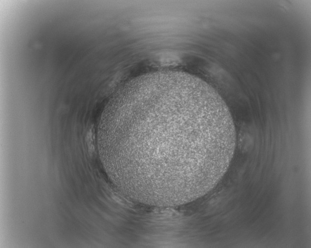 X0000066970866200604072028