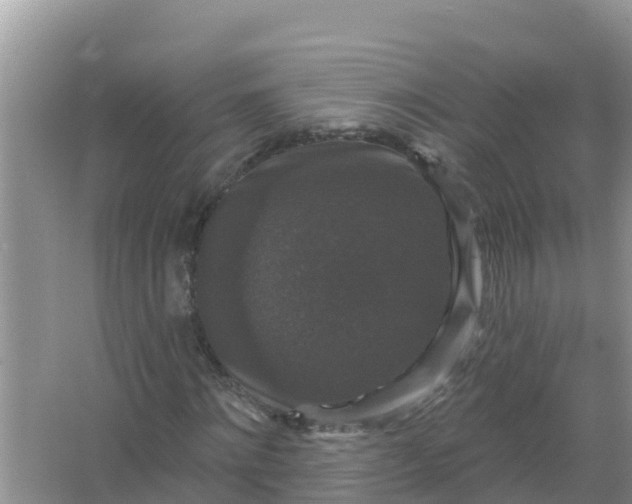 X0000066970868200604072028