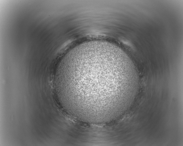 X0000066970870200604072028