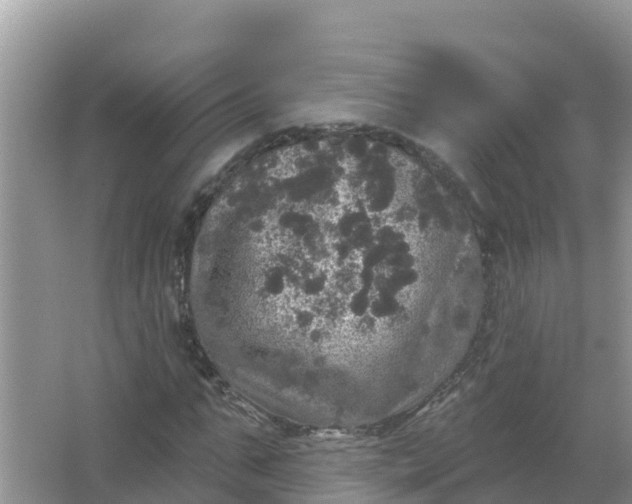 X0000066970871200604072028