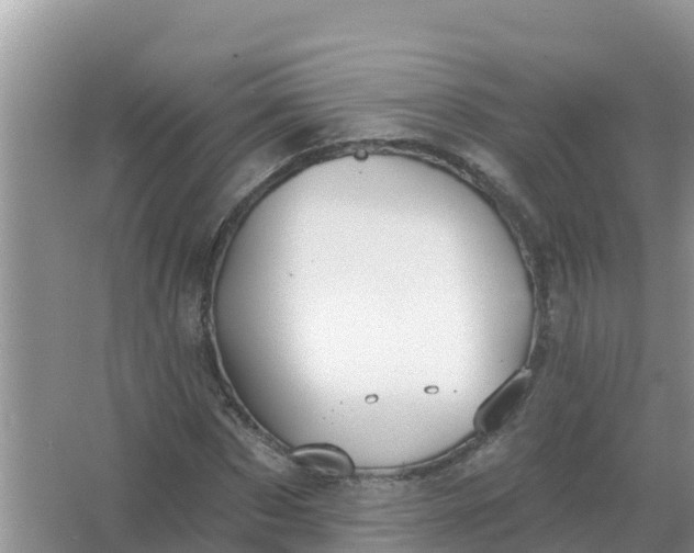 X0000066970873200604072028