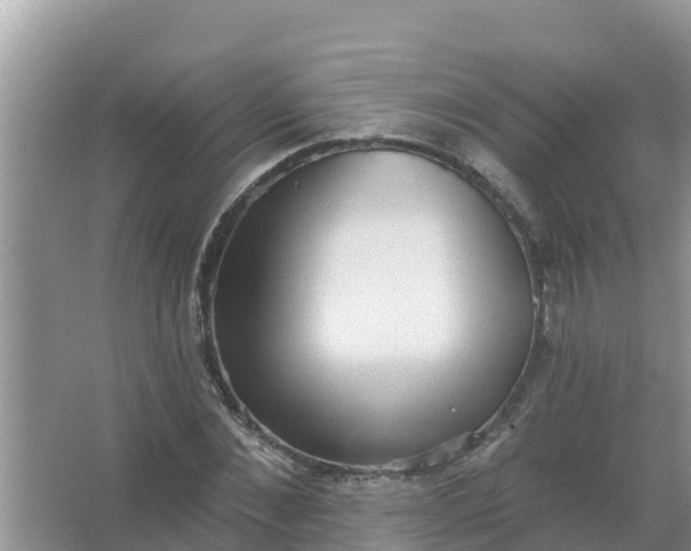 X0000066970876200604072027