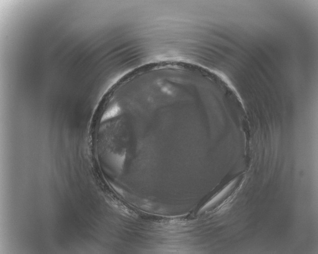 X0000066970879200604072027