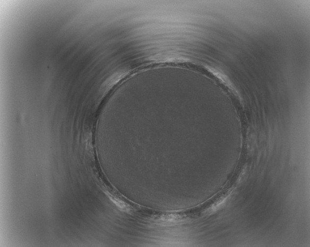 X0000066970881200604072027