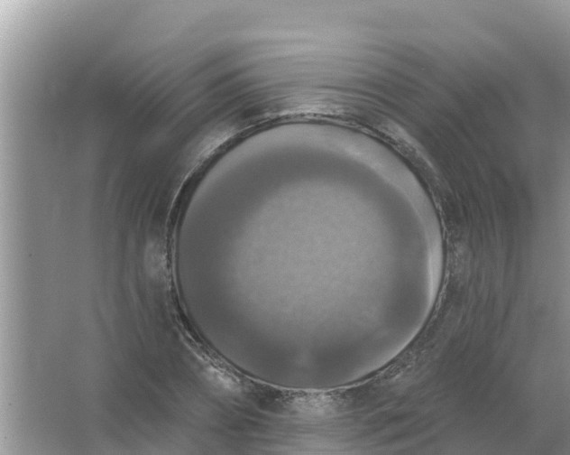 X0000066970882200604072027