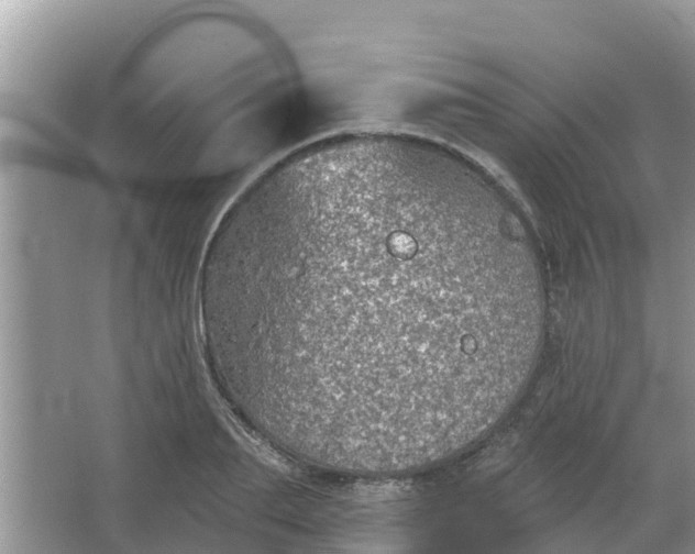 X0000066970887200604072027