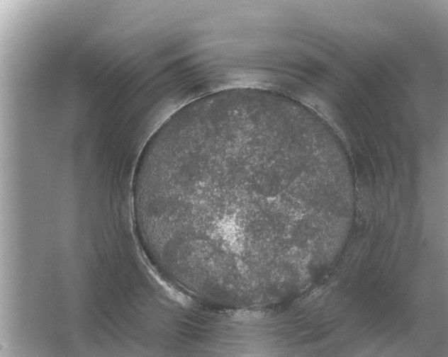 X0000066970890200604072027