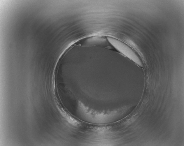 X0000066970892200604072027