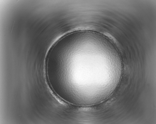 X0000066970894200604072027