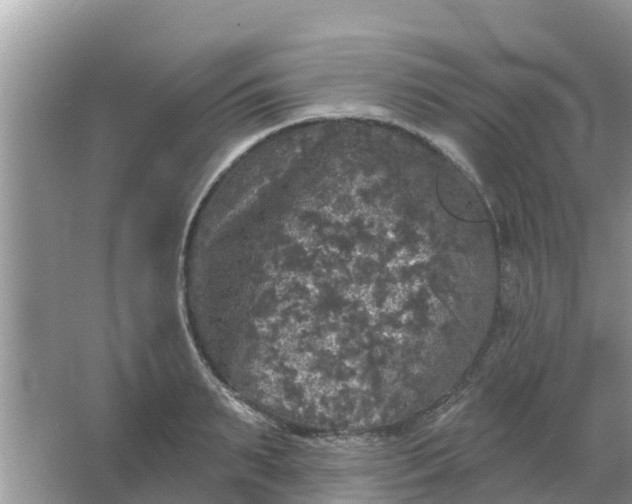 X0000066970895200604072027