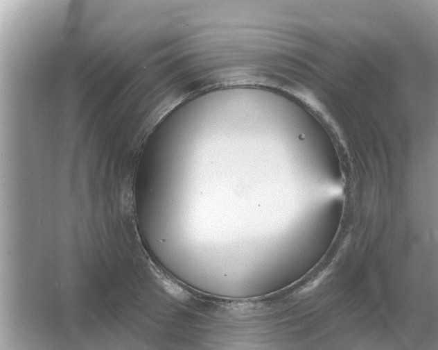 X0000066970897200604072027