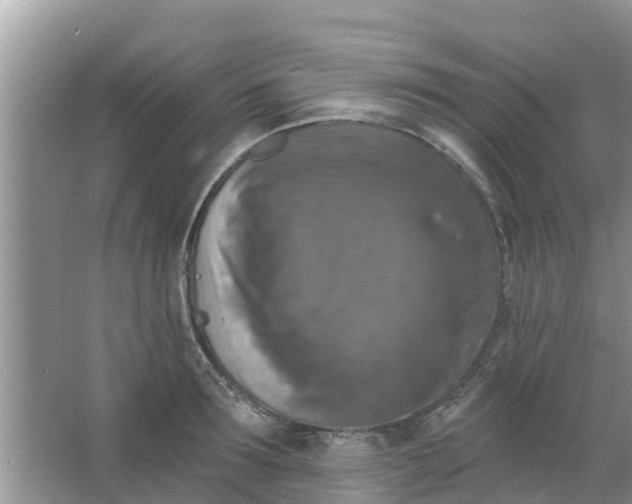 X0000066970899200604072027