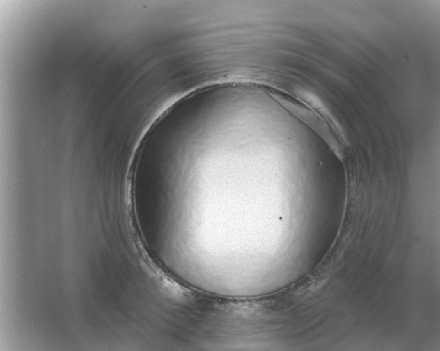 X0000066970900200604072027