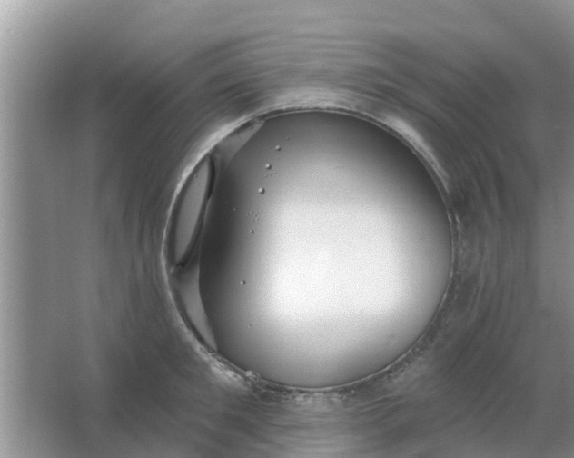 X0000066970901200604072027