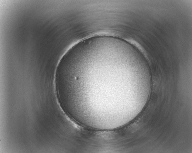 X0000066970902200604072027