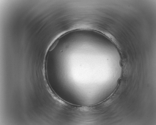 X0000066970904200604072027