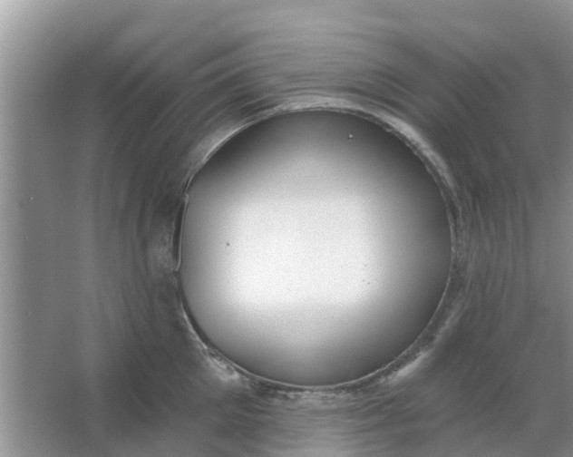 X0000066970905200604072027