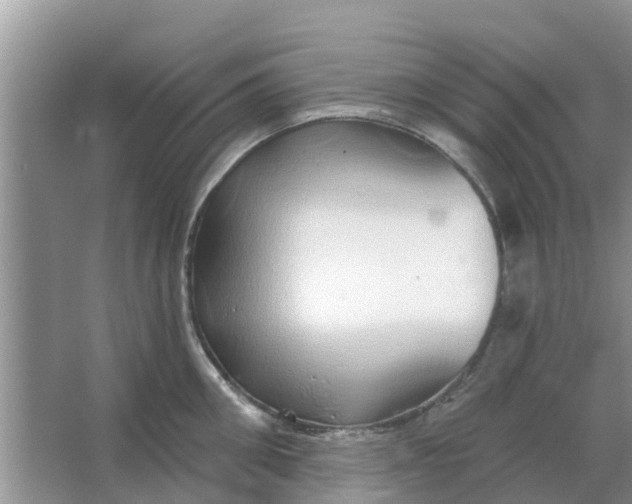 X0000066970906200604072027