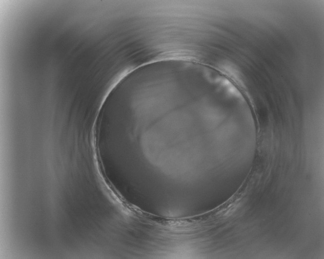 X0000066970907200604072027